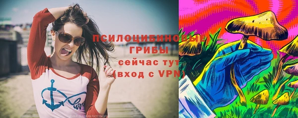 сатива Алексеевка