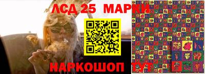 стафф Коммунар